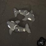 Little Movers Orca