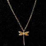 Dragonfly Orange