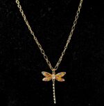 Dragonfly Orange