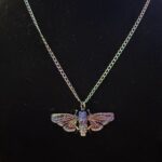 Moth