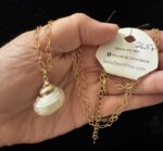 Shell Pearly - Image 2