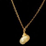 Shell Pearly