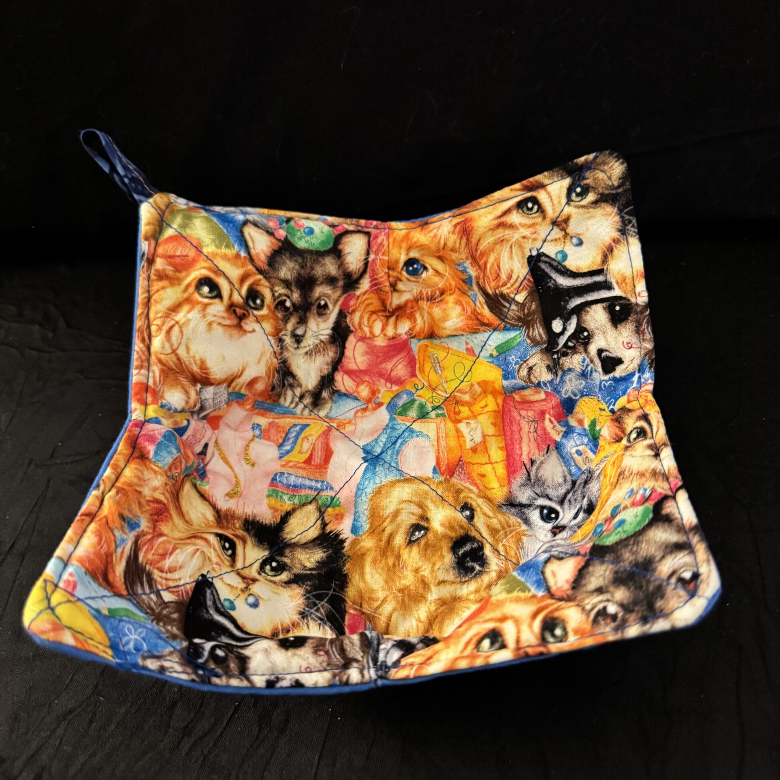Cats Dogs Colorful
