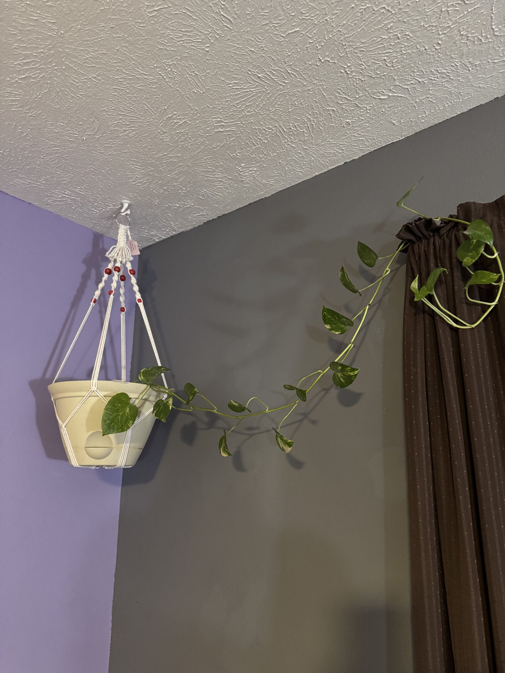 Macrame_Plant_Hangers-Medium-White-RedBeads2 White Red Beads2 - Image 1