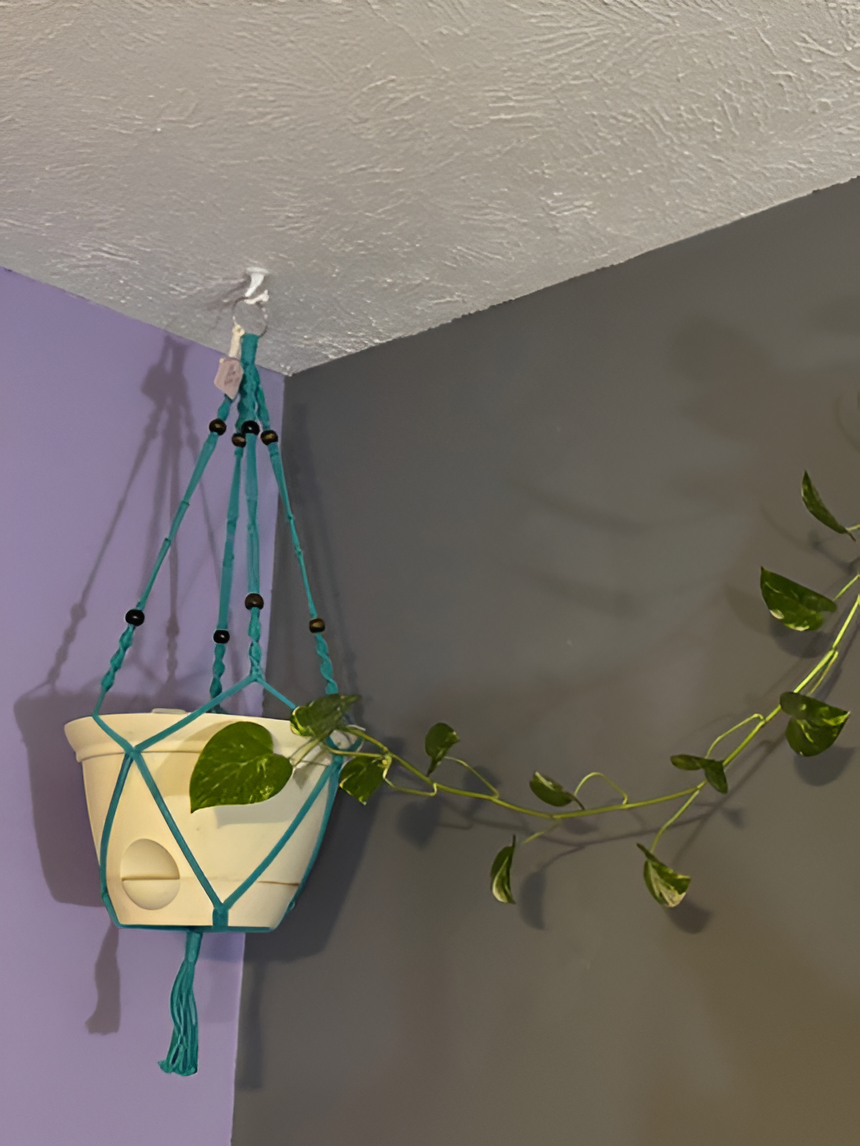 Macrame_Plant_Hangers-Medium-White-RedBeads2 Teal2 - Image 1