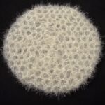 Scrubby Soft Grey2