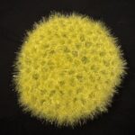 Scrubby Green Yellow2