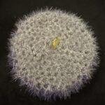 Scrubby Grey Yellow2