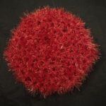 Scrubby Red