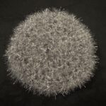 Scrubby Silver