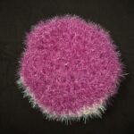 Scrubby White Purple2
