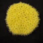 Scrubby Yellow