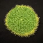Srubby Green Yellow